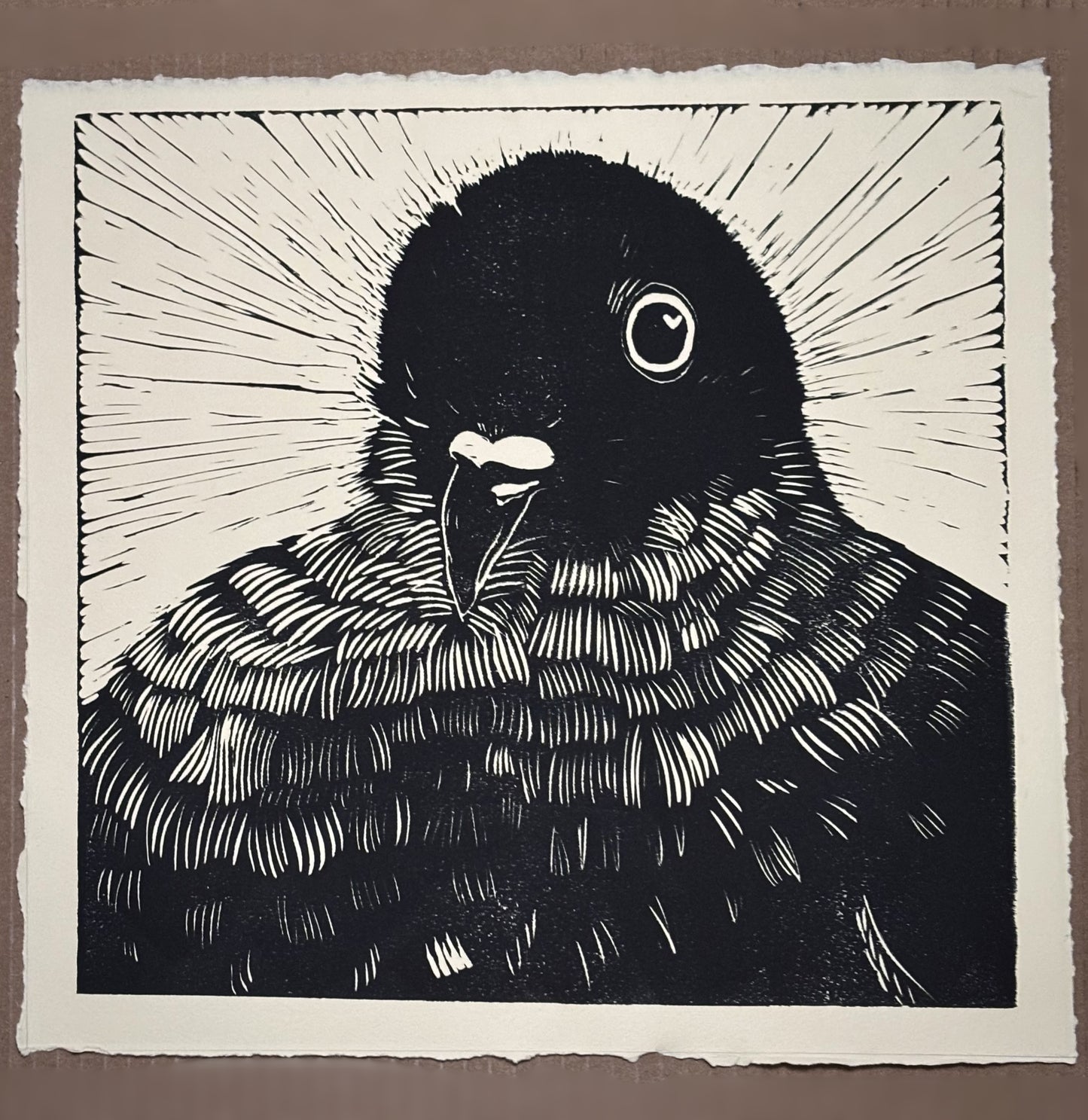 Handmade Fluffy Pigeon Linocut 12”x12” Print