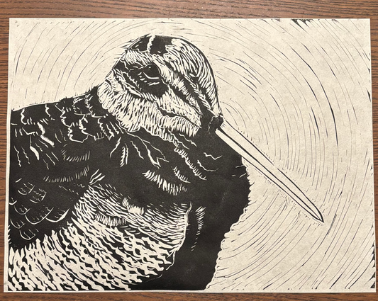 NEW American Woodcock Linocut print